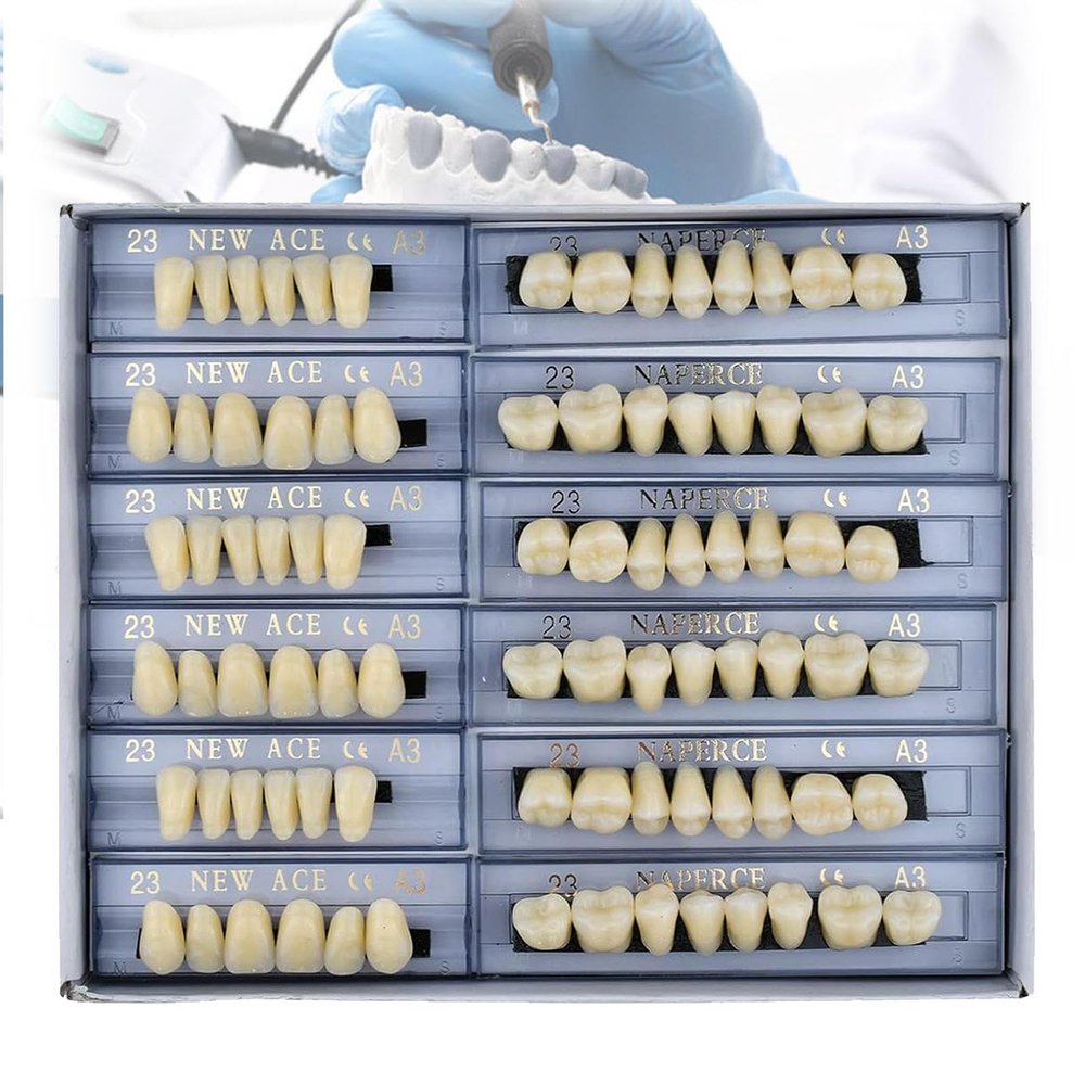 MTTXY 168 Pcs Dental Synthetic Resin Tooth Denture, 3 Sets False Teeth 23 A3 Upper Lower Shade Dental for Halloween Horror Teeth