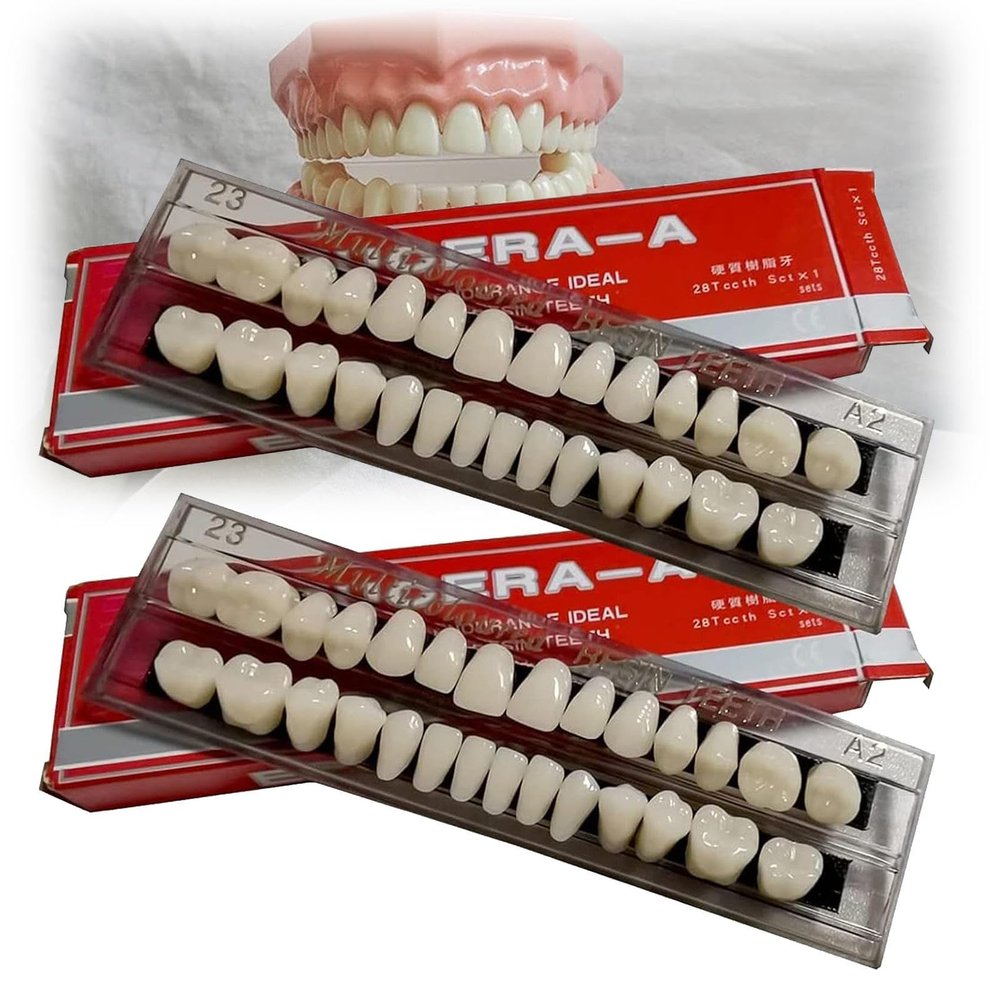 MTTXY 2Set Dental Synthetic Resin Tooth Denture False Teeth, Whole Teeth Synthetic Polymer Denture Tooth for Halloween Horror Teeth (56 Pcs)