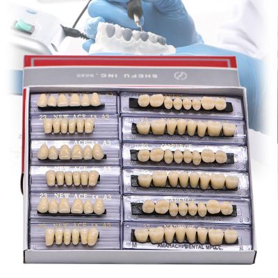 MTTXY 168 Pieces False Teeth Dental Complete Acrylic Resin Denture Teeth, Whole Teeth Synthetic Polymer Denture Tooth 23 Shade A3 Upper + Lower Dental Materials
