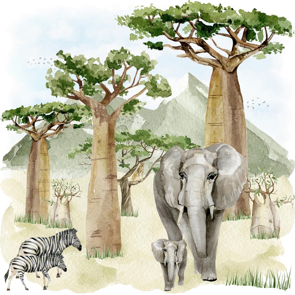 Baobab Scenery Elephant Zebra Jungle Forest Lunch Napkins 33 x 33 cm Pack of 20, Paper Serviettes, Tabletop, Decoupage