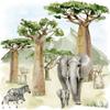 Baobab Scenery Elephant Zebra Jungle Forest Lunch Napkins 33 x 33 cm Pack of 20, Paper Serviettes, Tabletop, Decoupage view 1