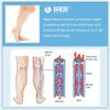 VARCOH Compression Socks for Women, Knee High, XXL, Beige view 4