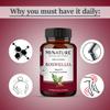 Boswellia Tablets by mi Nature| | Pure & Natural herb | Free from Chemical & Preservative| Plant Based Gluten Free |90 Tablet, 45 Days Supply 1000mg view 4