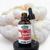 Lion Mane Extract / Lion Mane Mushroom / Promotes Memory / Lion Mane Mushroom to Support the Immune System / 50 ml / 1.7 FL OZ view 2