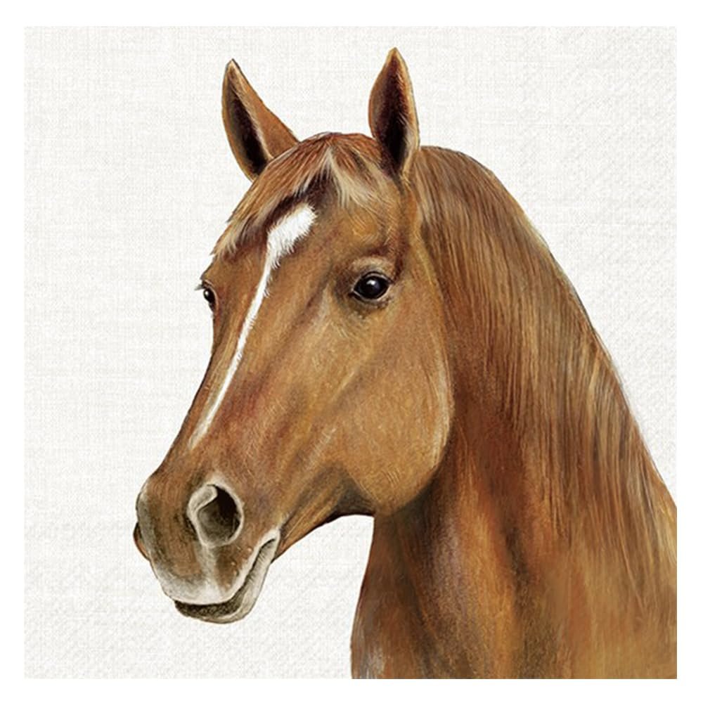 Farm Horse Cream IHR Paper Table Napkins 33 cm Square 3 ply Lunch Napkins