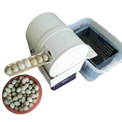 JINTAOMA Egg Washer Machine, Automatic Egg Washer Machine, Electric Egg Washing Machine, 2300 Pcs/H Chicken Duck Goose Egg Egg Cleaner Wash Machine,220V
