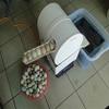 JINTAOMA Egg Washer Machine, Automatic Egg Washer Machine, Electric Egg Washing Machine, 2300 Pcs/H Chicken Duck Goose Egg Egg Cleaner Wash Machine,220V view 3
