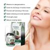 ATLION 30 ml Respinature Herbal Spray 4 weeks Powerful Softener and Cleansing for Respiratory,2024 New Herbal Lung Cleanse Spray 30ml, Herbal Mist for Lung Discomfort view 4