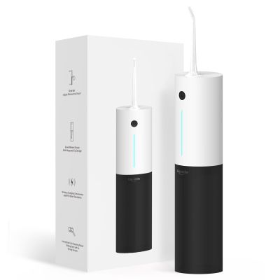 Bigsmile Professional Water Flosser, 3 Modes, Advanced Pressure Control System, 24 Settings, Dental Plaque Removal Tool, Effectively Maintain Oral Cleanliness and Health, Panda