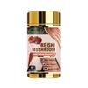 Vitaminnica Reishi Mushroom (20:1 Extract) Supplement- 60 Veg Casules | High Strength Extract Nootropics with Premium Immune and Stress Support view 1