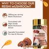 Vitaminnica Reishi Mushroom (20:1 Extract) Supplement- 60 Veg Casules | High Strength Extract Nootropics with Premium Immune and Stress Support view 4