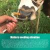 Xcello Set of 10 Premium Plastic Cow Nose Rings, Durable Traction Rings for Livestock Breeding view 3
