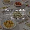 Press Healthfoods, Ready Meal Bundle, 5 High Protein Plant-Based Meals, Low Fat and High Fibre Meal Options, Micvac Technology, 100% Natural Ingredients, Vegan, Recyclable Packaging view 3