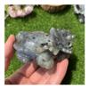 room decoration for Natural Labradorite Dragon Turtle Carved Animals Figurine Crystals Reiki Gift for Home Decor view 2