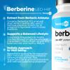 Berberine HCL with Patented Leo-HB Technology - Up to 3-Month Supply - 4X Enhanced Absorption - Berberis Aristata Extract - 90 Vegan Capsules - Made in France - Hexagon view 2
