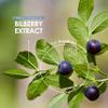 Bilberry Extract 30,000mg - Standardised 25% Anthocyanidins from 50:1 Vaccinium Uliginosum Extract - 90 Vegan Capsules (3 Months Supply)  Resealable and Recyclable Pouch by Alpha01 view 4