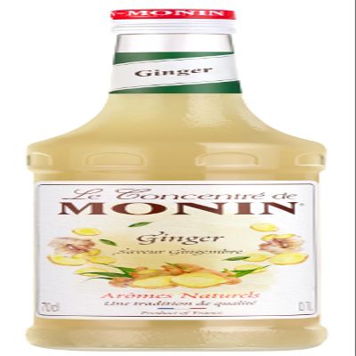 Monin Syrup/Concentrate Ginger 1 x 700 ml