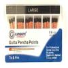 GAPA-Pro R Gutta Percha Points R40(.06) (60 Points) view 1
