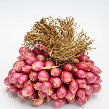 Shallot Onion | 1.7KG | 11.99 |