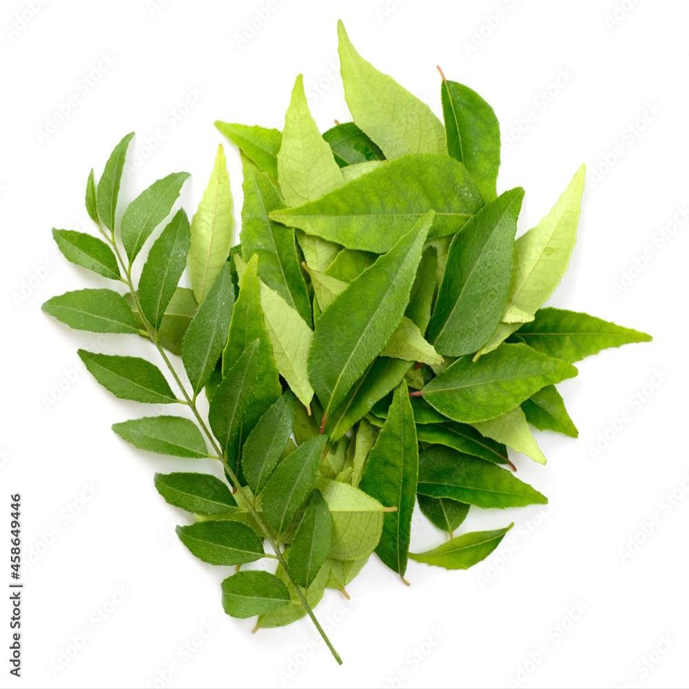 Fresh Curry Leaves I 45G I Pack of 1