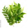 Fresh Curry Leaves I 45G I Pack of 1 view 1