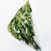 Fresh Curry Leaves I 45G I Pack of 1 view 4