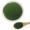 MB Superfoods - Premium Organic Chlorella Powder 200g, Chlorella Supplement for Herbal Wellness, Pure Organic Chorella Powder view 4