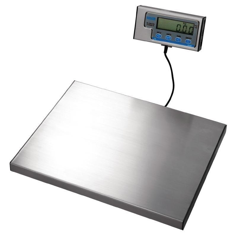Salter Electronic Wall Scale 120 kg