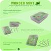 Wonder Mint - Biodegradable, Vegan Friendly & Natural, Plant Based Dental Floss Picks for Adults & Kids view 2