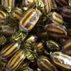 Mint Humbugs Sweets - 1 Kilo Bulk Bag - 1KG - Assorted Sweet Pick and Mix for Parties, Gifts, and Sharing. view 1