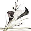 20 Napkins Flowers, Garden & Nature Calla Black and White Table Decoration Paper Napkins with Motif Also for Decoupage and Decoupage 33 x 33 cm view 1