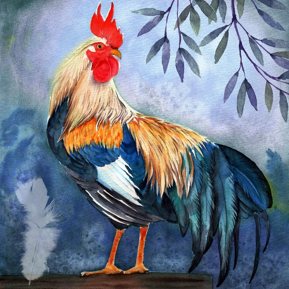 20 Napkins Animal Motifs Large Rooster on Blue Table Decoration Paper Napkins with Motif Also for Decoupage and Decoupage 33 x 33 cm