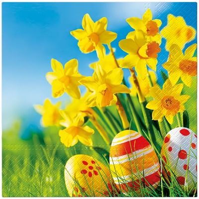 20 Napkins Easter Eggs Under Daffodils as Table Decoration Paper Napkins with Motif Also for Decoupage and Decoupage 33 x 33 cm