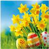 20 Napkins Easter Eggs Under Daffodils as Table Decoration Paper Napkins with Motif Also for Decoupage and Decoupage 33 x 33 cm view 1