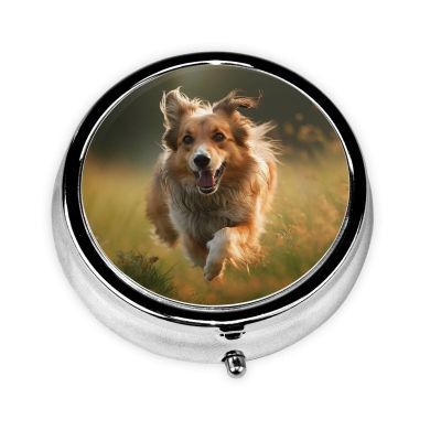 Round Pill Box 3 Compartment Pill Case for Purse & Pocket Small Pill Organizer Cheerful Puppy Travel Pillbox Portable Oil Storage Box Metal Medicine Vitamin Organizer Unique Gift