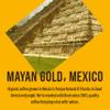 Caf Direct Mayan Gold Mexico Organic Fairtrade Whole Bean Coffee 200 g view 3