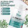 Vinco Alpha GPC 600mg in One Capsule - 60 Capsules = 60 True Servings - Pure Choline Supplement - Nootropic for Brain Support, Focus, Memory, Motivation & Energy - Alpha GPC Rich - Made in The UK view 2