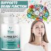 Vinco Alpha GPC 600mg in One Capsule - 60 Capsules = 60 True Servings - Pure Choline Supplement - Nootropic for Brain Support, Focus, Memory, Motivation & Energy - Alpha GPC Rich - Made in The UK view 3