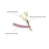 Stainless Steel Professional & Personal Use Single Edge Cut Throat Shaving Razor Barber Beard Hair Remover Shaver view 4