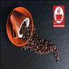 Bonini Dolce Gusto Compatible Decaf Coffee Pods (Pack of 6, Total 96 pods) view 4