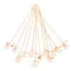 TOPBATHY Reed Diffuser Sticks 12pcs Wooden Aroma Flower for Bedroom Desk view 1