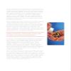 Pure Capsules Acid Resistant delay Release Vegetarian Vegan Based Capsule DRcaps Slow Released Capsule gastric Capsule Size 000 Clear view 4