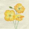 20 Napkins Recycled Paper Flowers Yellow Poppies Table Decoration Paper Napkins with Motif Also for Decoupage and Decoupage 33 x 33 cm view 1