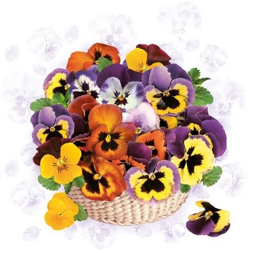 20 Napkins Flowers, Garden & Nature Pansies in Basket as Table Decoration Paper Napkins with Motif Also for Decoupage and Decoupage 33 x 33 cm