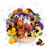 20 Napkins Flowers, Garden & Nature Pansies in Basket as Table Decoration Paper Napkins with Motif Also for Decoupage and Decoupage 33 x 33 cm view 1