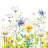 20 Napkins Flowers, Garden & Nature Beautiful Spring Meadow Table Decoration Paper Napkins with Motif Also for Decoupage and Decoupage 33 x 33 cm view 1