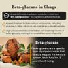 Ancient Extracts Chaga Mushroom Extract Powder - Minimum 30% Beta Glucans - GMO Free, Gluten Free, Vegan - Increased Energy, Performance, Endurance - Superfood, Adaptogen (60g) view 2