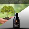 Black Seed Oil 100ml - Made from Cold-Pressed Nigella Sativa from Egypt - Black Cumin Seed Oil Rich in Omega 3, 6 & 9 - Made by BLACK SEED LAB in The UK view 4