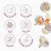 Garlic Granules Monte Nativo (500g) - Dried Garlic Granules for Cooking - Gently dried and aromatic Spices ideal for Cooking and Seasoning view 3