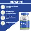 Collagen 300mg (180 Tablets) from Woods Supplements | hydrolysed Collagen | Allows Effective utilisation by the Body view 2